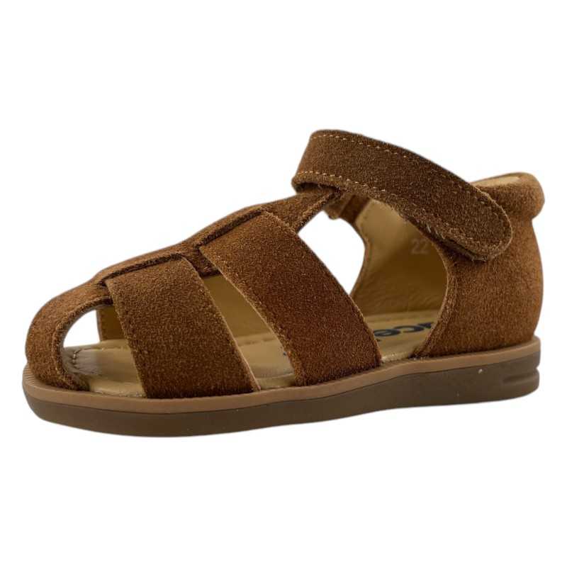 1235SE25 CUERO ACEBOS