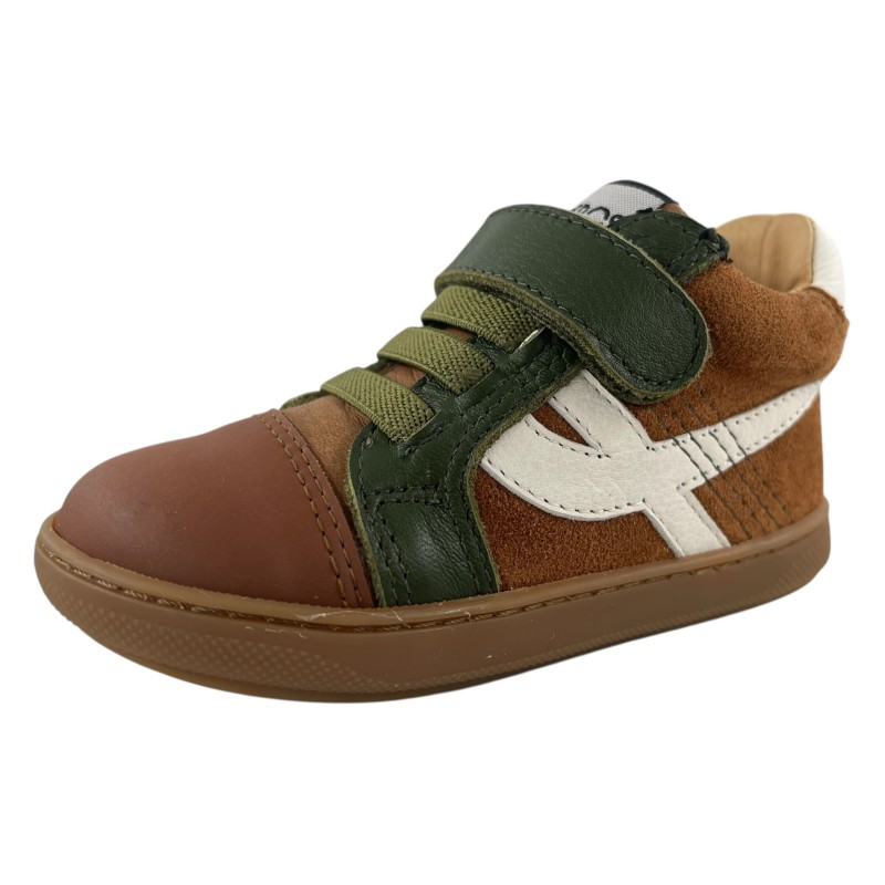 1460 ACEBOS