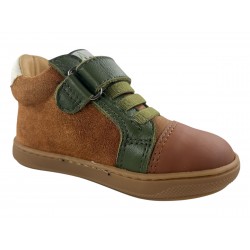 1460 ACEBOS