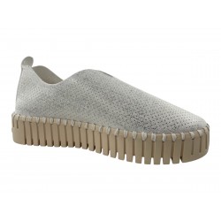 TULIP3577 BLANC ILSE JACOBSEN