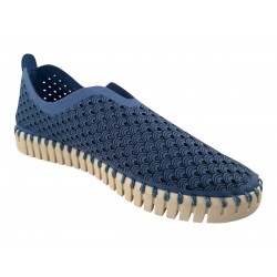 TULIP3275 BLEU ILSE JACOBSEN