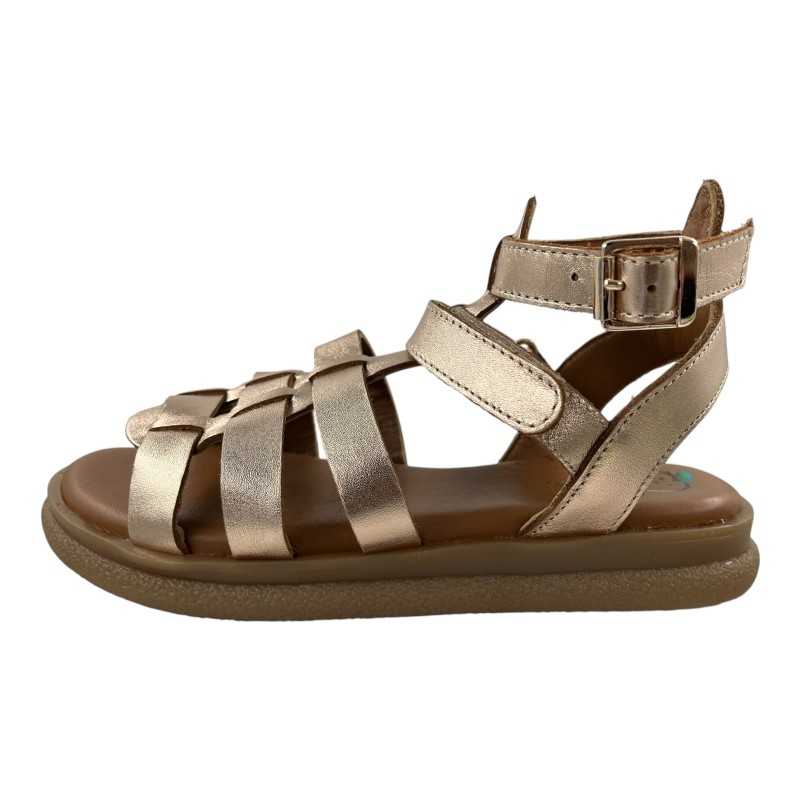 MAXIMUS TOP OR SHOOPOM